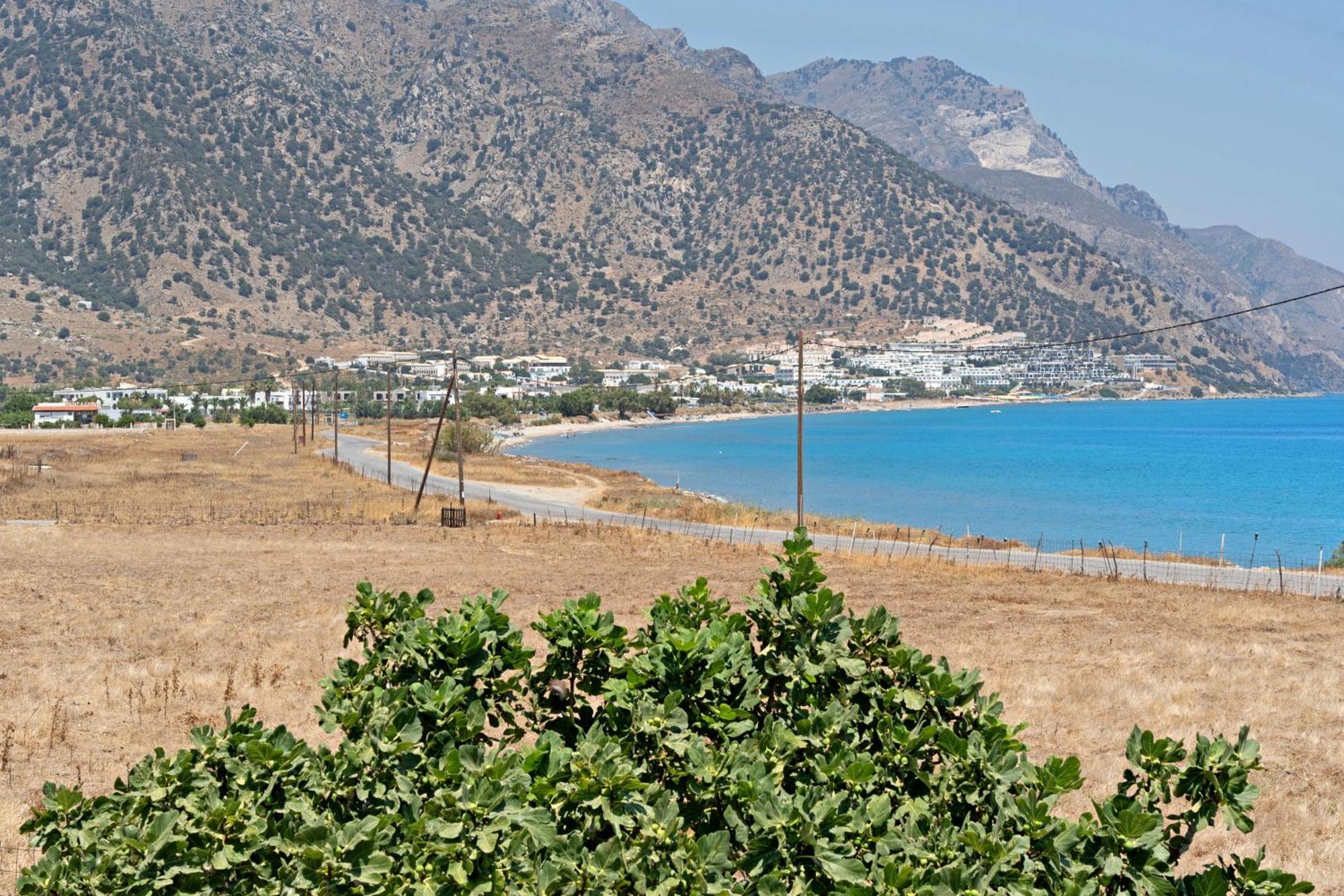 Appartement Athina Seaside à Kardamena  Extérieur photo